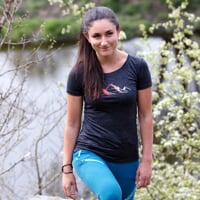VINKA "MOUNTAINS" women's merino T-shirt grey melange
